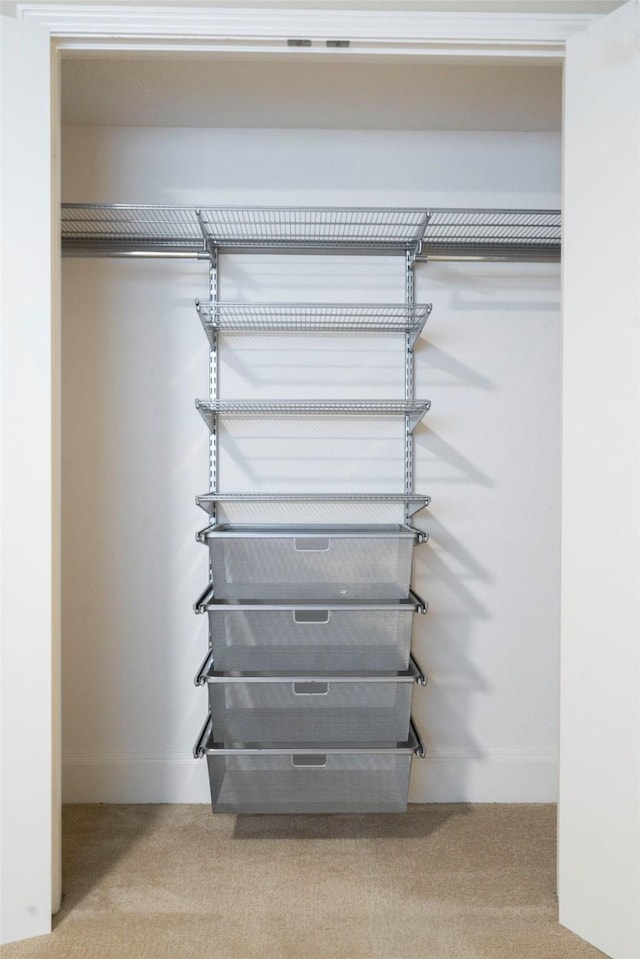 view of closet