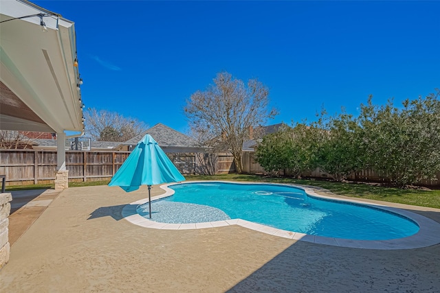 1510 Pecan Trace Ct, Sugar Land, TX 77479 - view of swimming pool featuring a fenced in pool, a fenced backyard, and a patio area