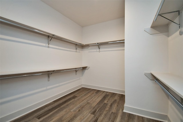 spacious closet with dark wood-style floors