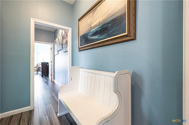 106 Clement Cv, Port Lavaca, TX 77979 - corridor featuring dark wood finished floors and baseboards