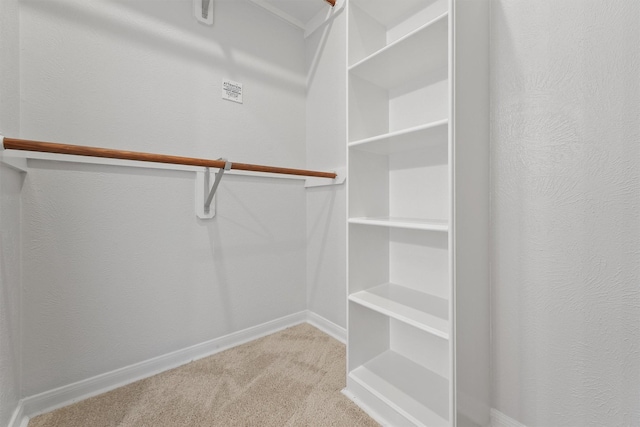 walk in closet featuring carpet flooring