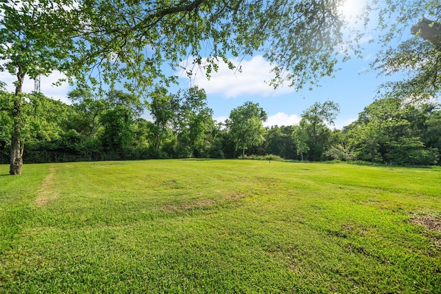 331 Moonshine Hill Rd, Houston, TX 77338 - view of yard featuring a view of trees
