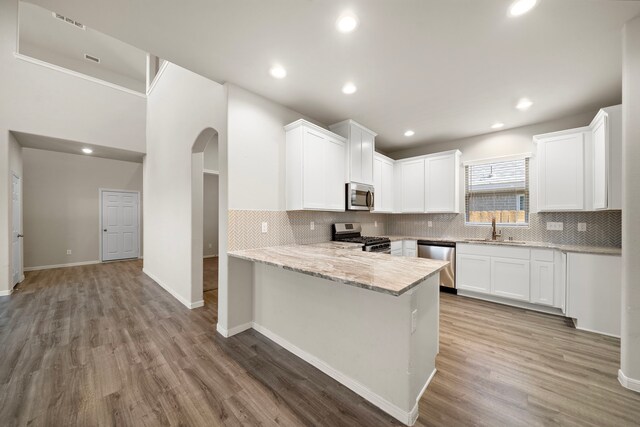 9993 Mountain Lion Ln, Magnolia, TX 77354 - kitchen with light wood finished floors, a sink, appliances with stainless steel finishes, and tasteful backsplash