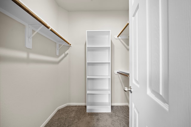 9993 Mountain Lion Ln, Magnolia, TX 77354 - spacious closet featuring carpet flooring