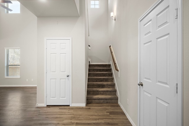 9993 Mountain Lion Ln, Magnolia, TX 77354 - stairs featuring wood finished floors and baseboards
