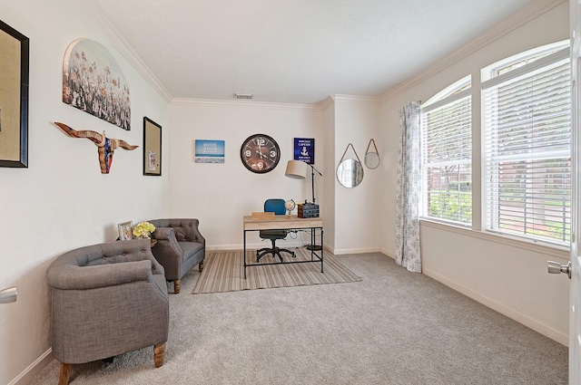 5127 Plantation Colony Dr, Sugar Land, TX 77478 - office featuring crown molding, carpet, and baseboards