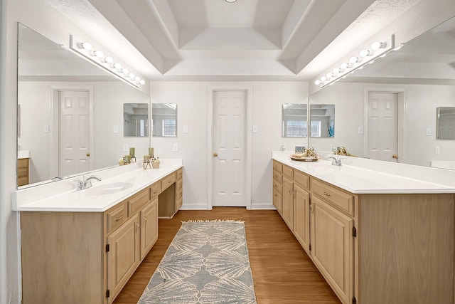 5127 Plantation Colony Dr, Sugar Land, TX 77478 - full bath with two vanities, a tray ceiling, wood finished floors, and baseboards