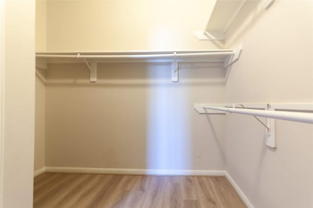 spacious closet with light wood finished floors