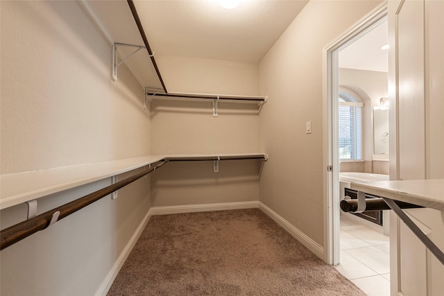 3302 Indigo Acres Ct, Katy, TX 77494 - spacious closet featuring light carpet