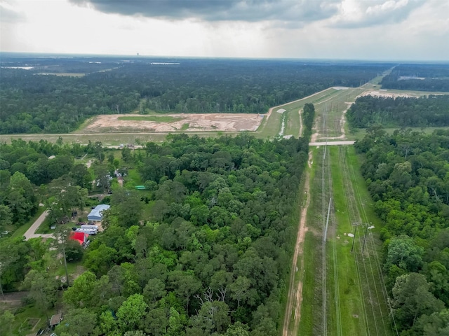 bird's eye view with a view of trees