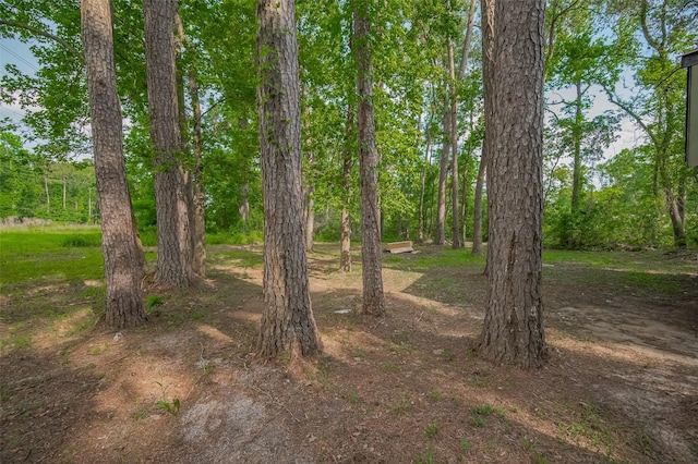 view of local wilderness