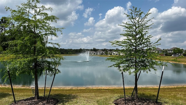 water view