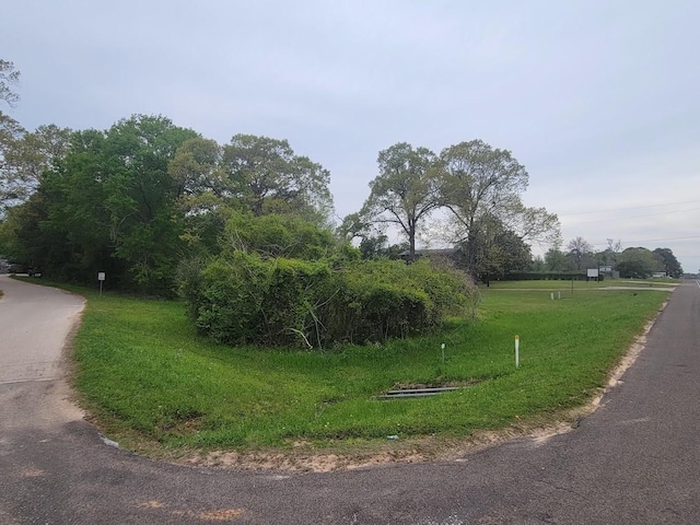 630 W State Highway 150 Unit 1-6, Coldspring, TX 77331 - photo 4