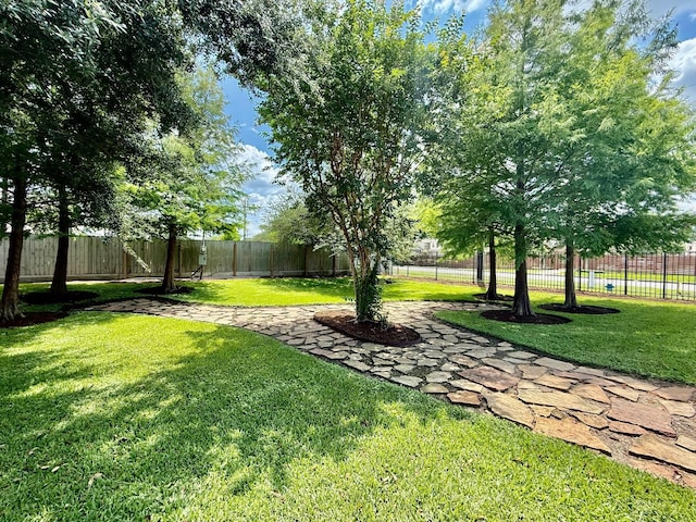 8820 Ashbloom Ln, Houston, TX 77080 - view of yard