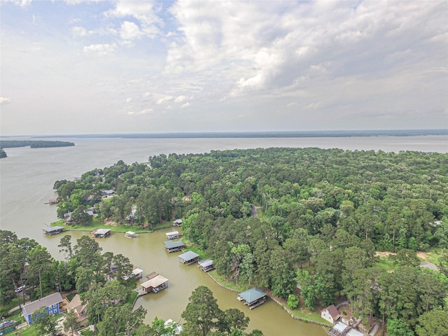 70 Lower Cove Dr, Point Blank, TX 77364 - view of property location with a large body of water