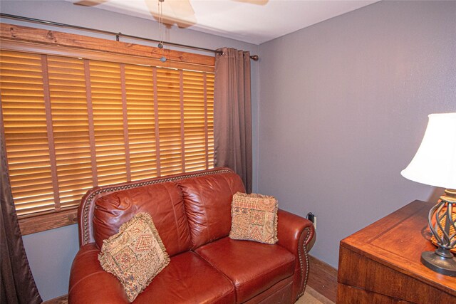 70 Lower Cove Dr, Point Blank, TX 77364 - living area with ceiling fan