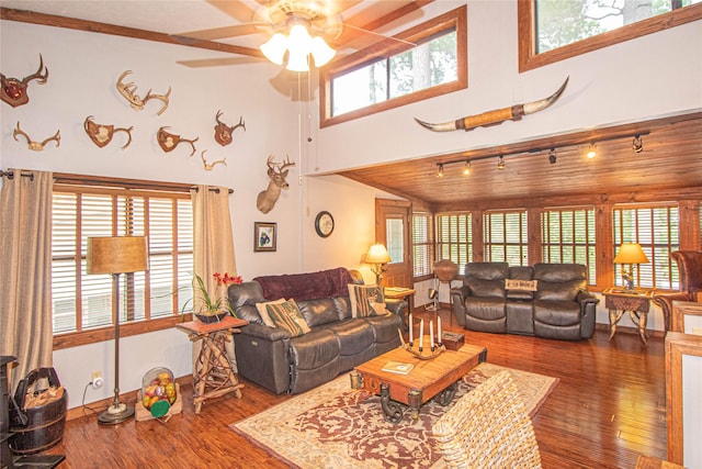 70 Lower Cove Dr, Point Blank, TX 77364 - living area featuring rail lighting, ceiling fan, wood finished floors, plenty of natural light, and a high ceiling