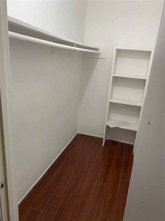 walk in closet featuring dark wood-type flooring