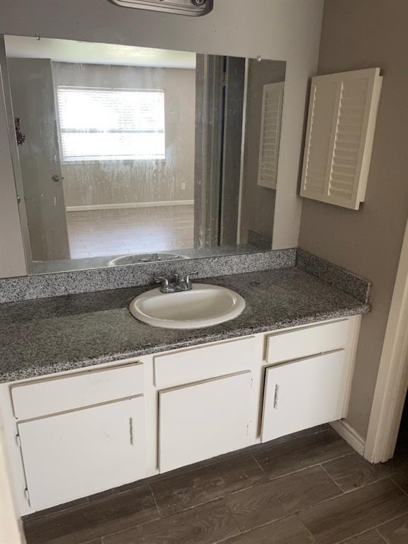 bathroom featuring wood finished floors and vanity