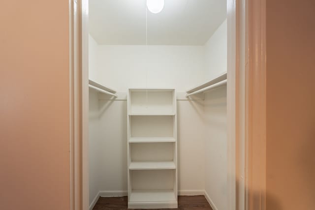 walk in closet featuring dark wood finished floors