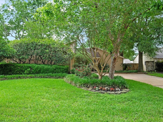 view of yard featuring fence and driveway