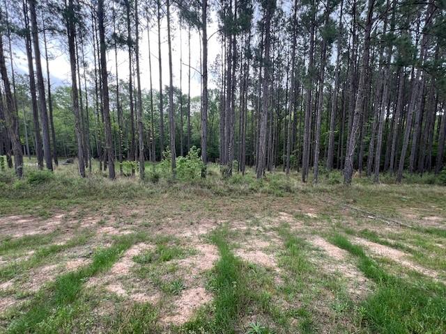 TBD Westridge Park, Livingston, TX 77351