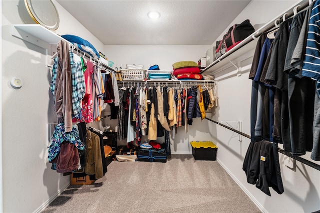 spacious closet featuring carpet
