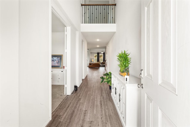 entrance foyer featuring baseboards, wood finished floors, and a towering ceiling