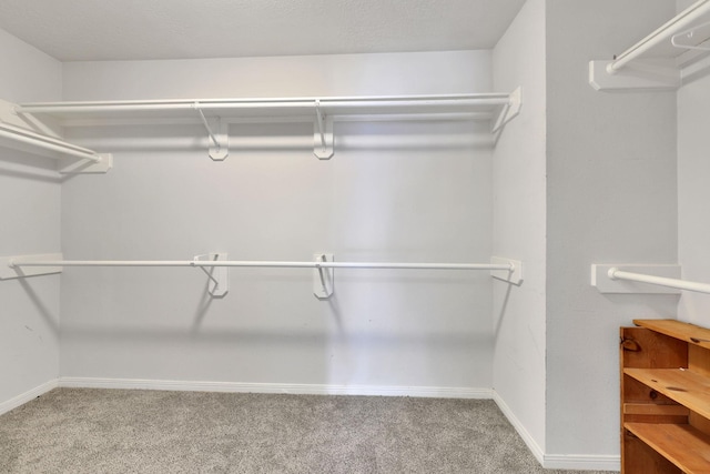 3739 Apple Hollow Ln, Humble, TX 77396 - spacious closet featuring carpet floors