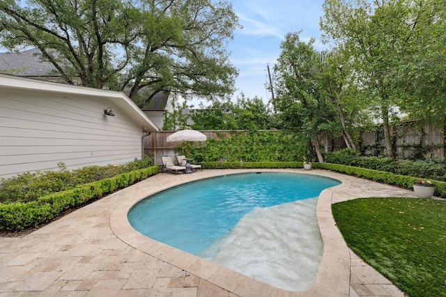 view of pool with a fenced in pool and a fenced backyard
