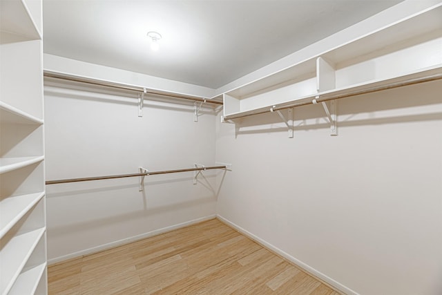 walk in closet with light wood-type flooring