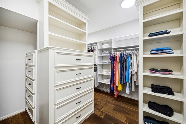 walk in closet with dark wood-style floors