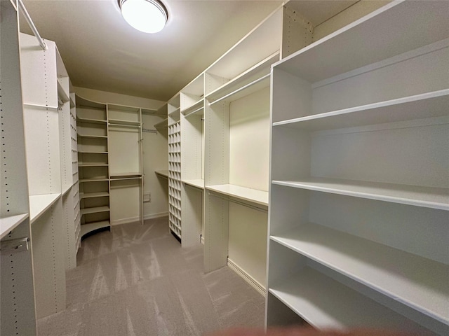 spacious closet featuring carpet