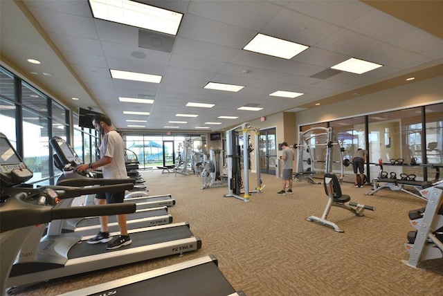 30106 Reagans Ranch Dr, Katy, TX 77494 - workout area with carpet flooring and a drop ceiling