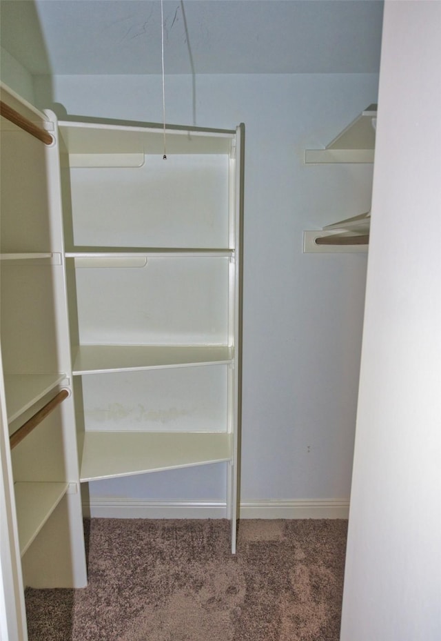 spacious closet with carpet