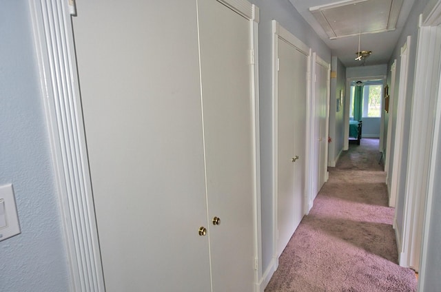 corridor with attic access and carpet floors
