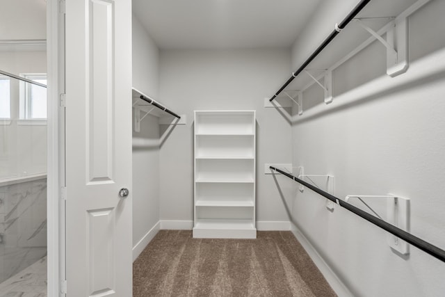 17311 Sunflower Petals Trl, Conroe, TX 77302 - spacious closet featuring carpet flooring