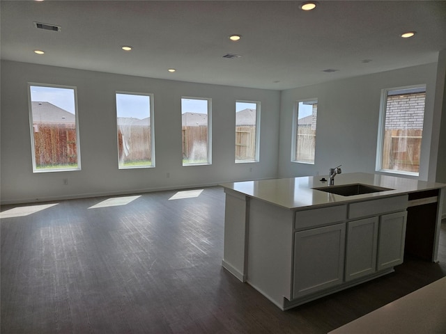 kitchen with a sink, open floor plan, and a healthy amount of sunlight