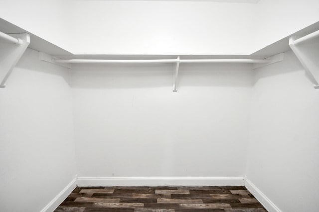 15030 Royal Shadows Dr, Houston, TX 77082 - spacious closet with dark wood-style flooring