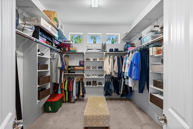 walk in closet with carpet flooring