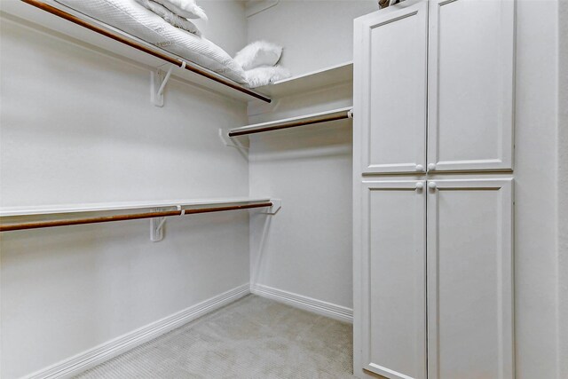 walk in closet with light colored carpet