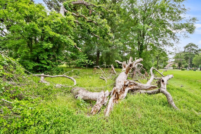12995 Point Aquarius Blvd, Willis, TX 77318 - photo 19