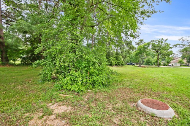 12995 Point Aquarius Blvd, Willis, TX 77318 - photo 20