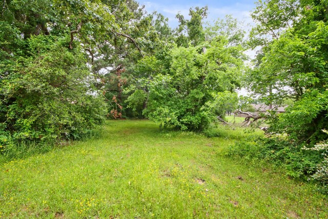 12995 Point Aquarius Blvd, Willis, TX 77318 - photo 21