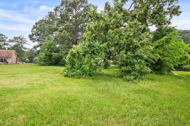 12995 Point Aquarius Blvd, Willis, TX 77318 - photo 23