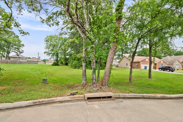 12995 Point Aquarius Blvd, Willis, TX 77318 - photo 12