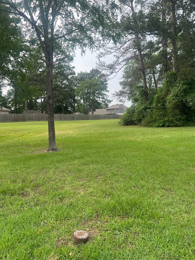 12995 Point Aquarius Blvd, Willis, TX 77318 - photo 1