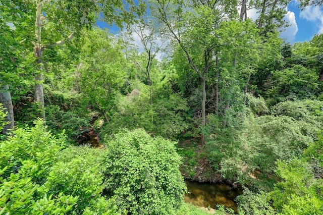 8277 Kingsbrook Rd Unit 254, Houston, TX 77024 - view of landscape featuring a forest view