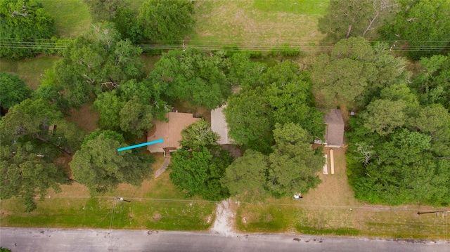 81 Westlake Rd, Trinity, TX 75862 - aerial view