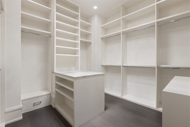 spacious closet featuring dark wood-type flooring